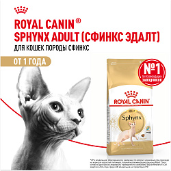 Royal Canin Sphynx Adult Корм сухой сбалансированный для взрослых кошек породы Сфинкс от 12 месяцев, 2 кг